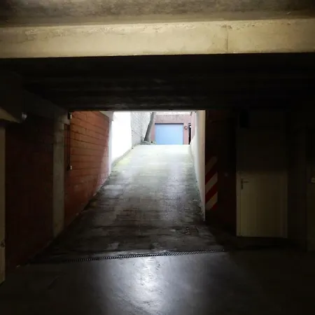 Apartment Studio Center Of W/parking & South Terrace