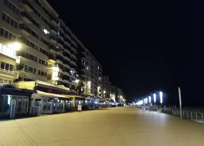 公寓 Studio Center Of W/parking & South Terrace 奥斯滕德