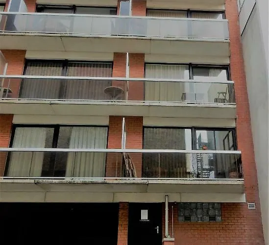 Studio Center Of W/parking & South Terrace 公寓 奥斯滕德