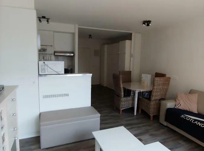 Apartment Studio Center Of W/parking & South Terrace